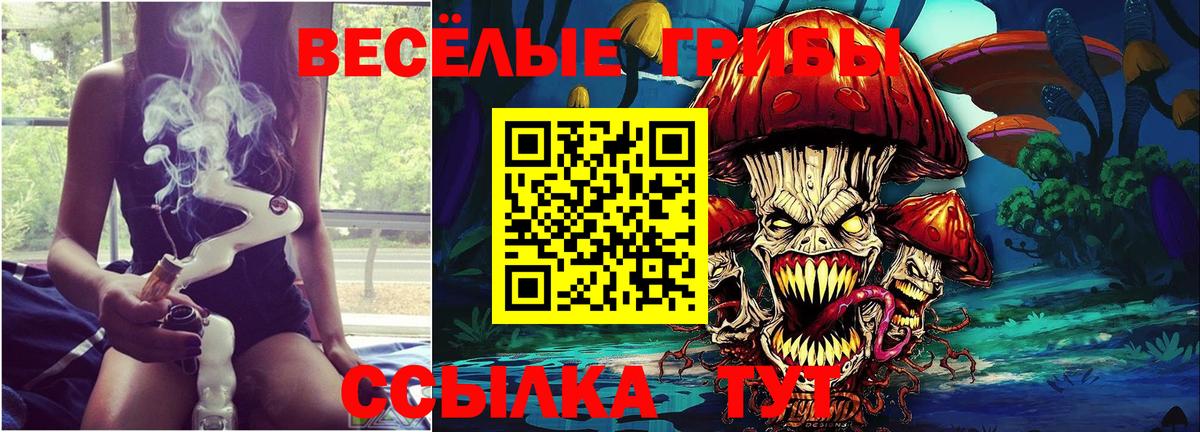 купить наркоту  Псилоцибиновые грибы Cubensis  Вход с VPN  Тихвин 